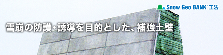 『雪崩の防護・誘導を目的とした、補強土壁』